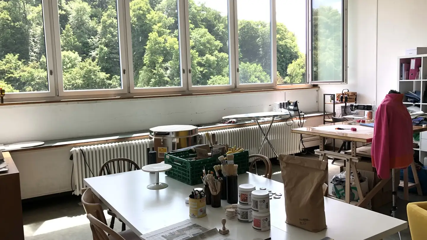 Commercial for rent - 8200 Schaffhausen - Photo 2
