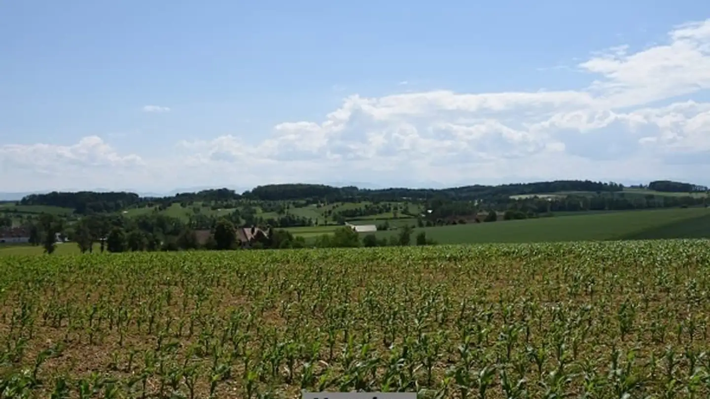 Terrain constructible à vendre - 1239 Collex