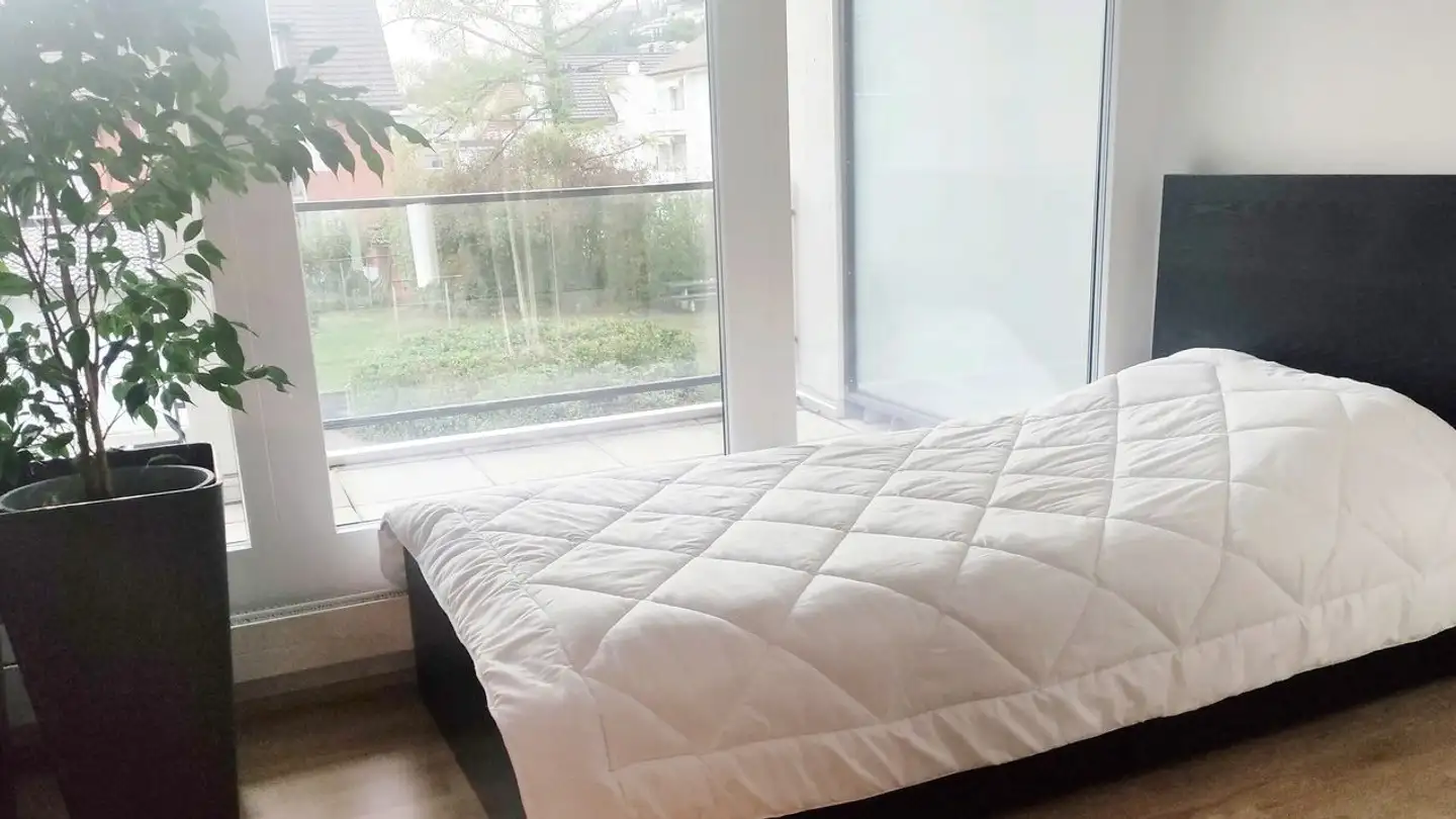 Wohnung mieten - 5430 Wettingen