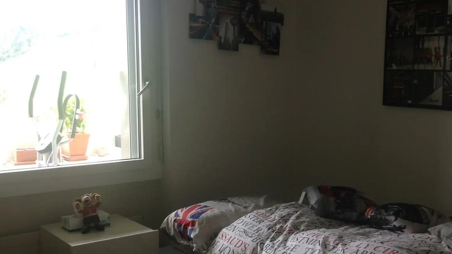 Single room for rent - Alte Landstrasse, 8804 Au ZH