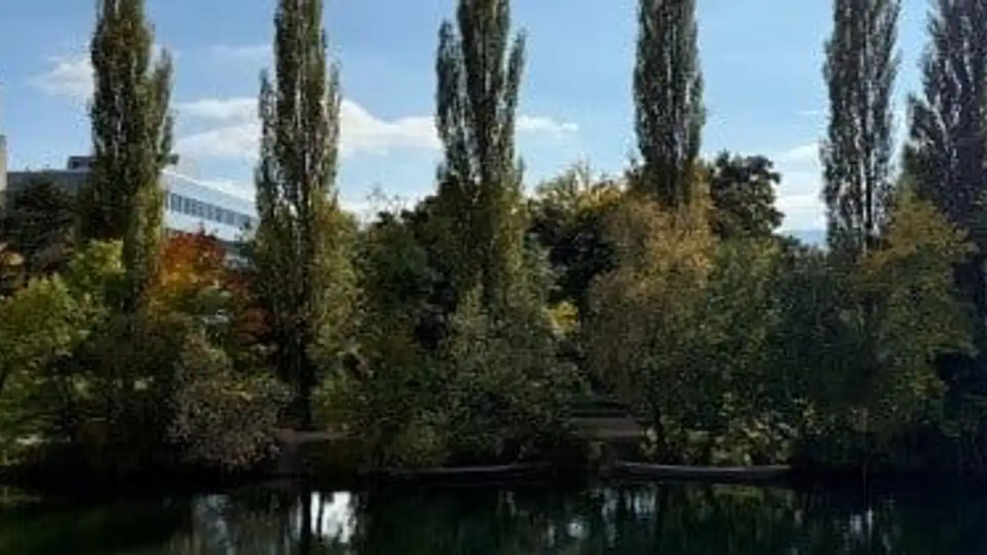 Wohnung mieten - Am Wasser 159, 8049 Zürich