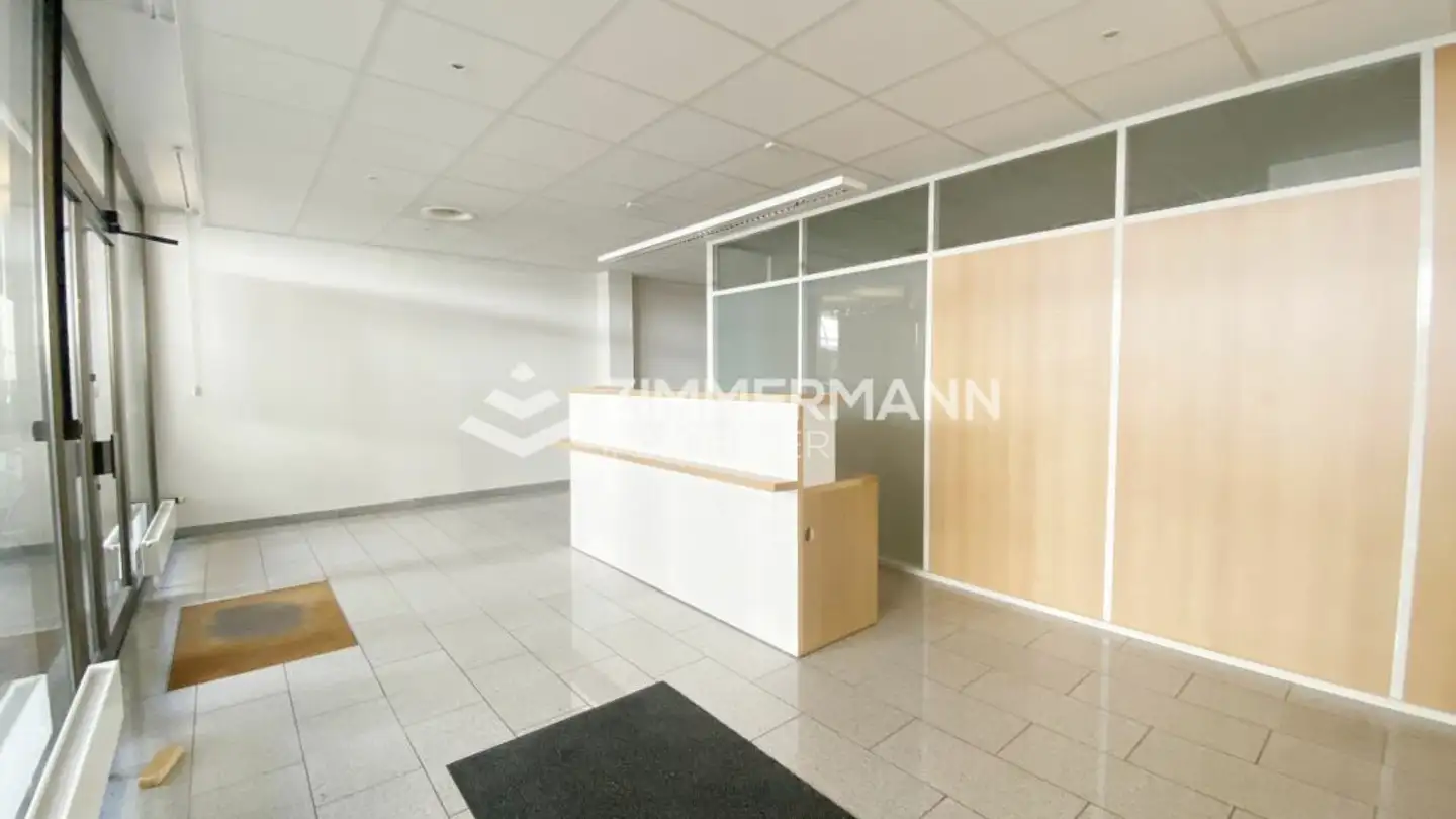 Negozio con vetrina in affitto - Avenue Blanc, 1202 Genève - Foto 2