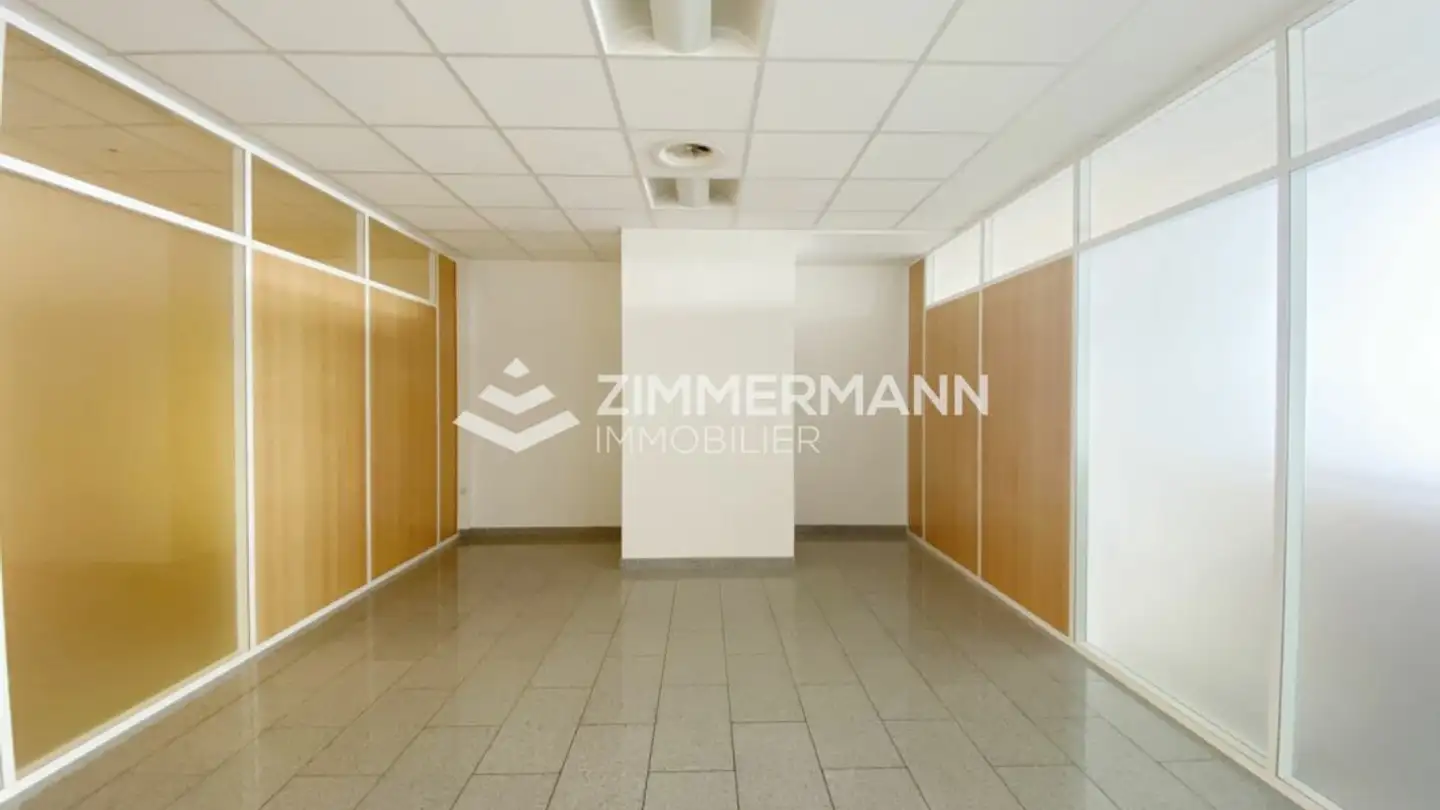 Negozio con vetrina in affitto - Avenue Blanc, 1202 Genève - Foto 3