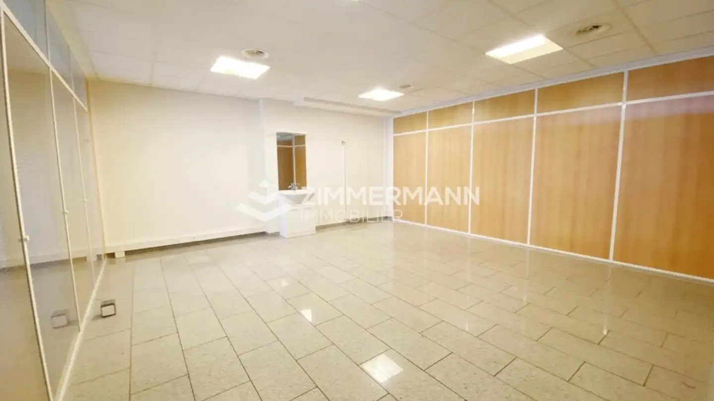 Negozio con vetrina in affitto - Avenue Blanc, 1202 Genève - Foto 4