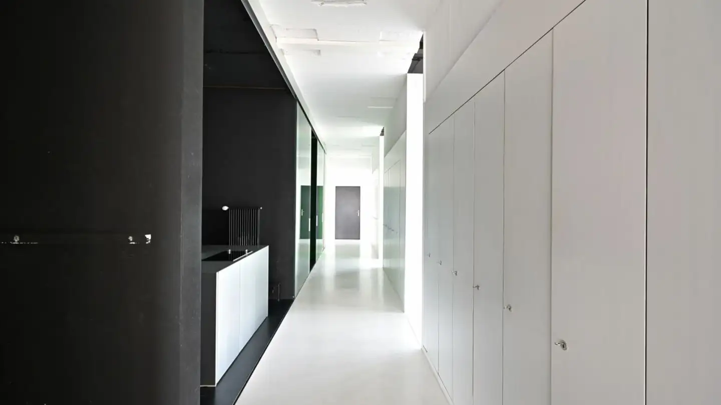 Commercial for rent - Frohburgerstrasse 32, 4132 Muttenz