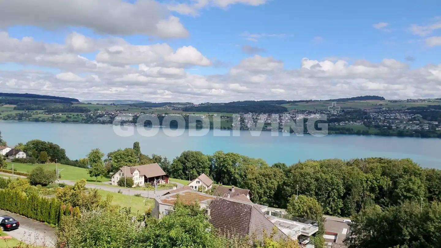 Villa à vendre - 5708 Birrwil