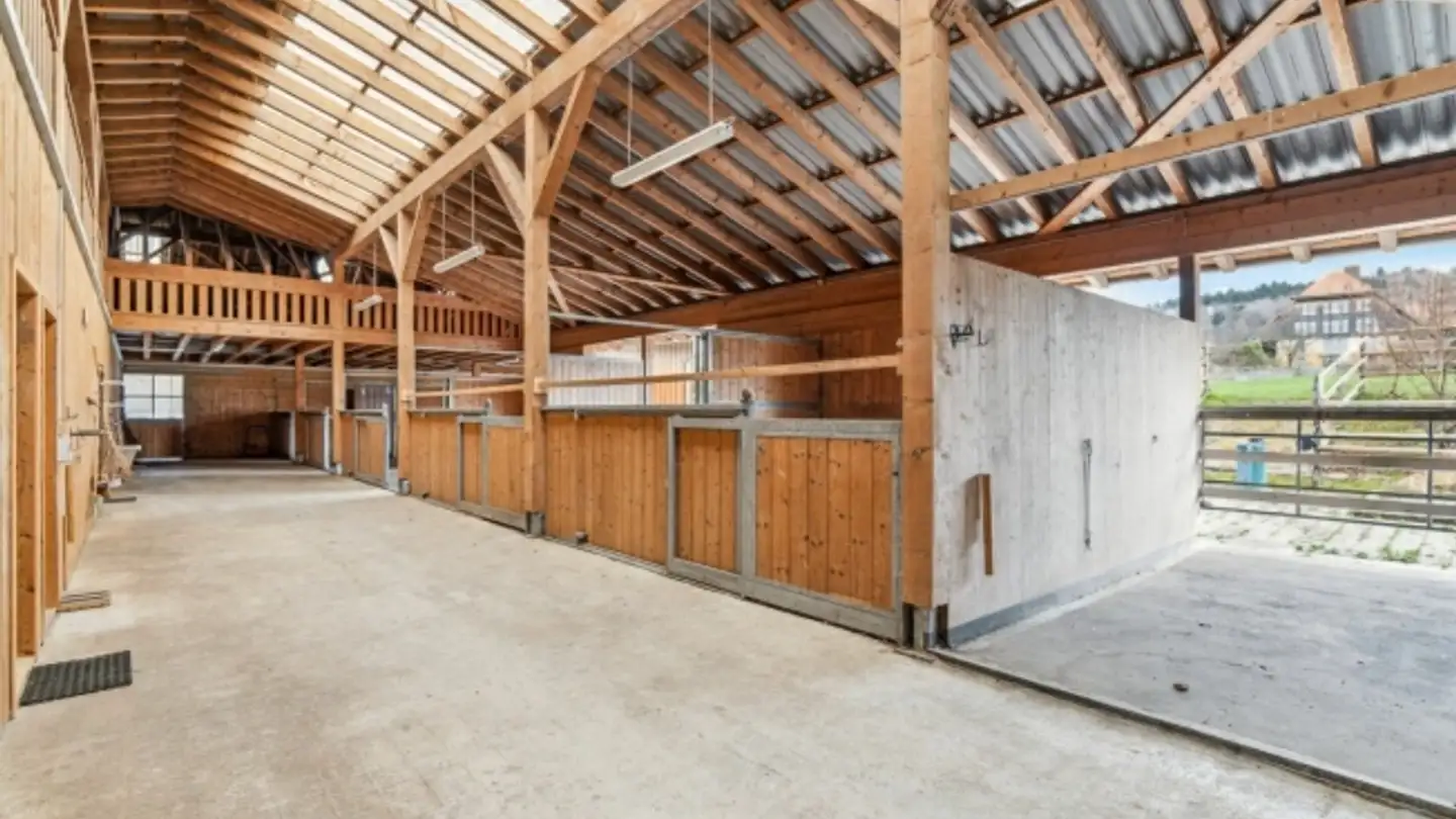 Shop for sale - Dorfstrasse 50, 3365 Seeberg