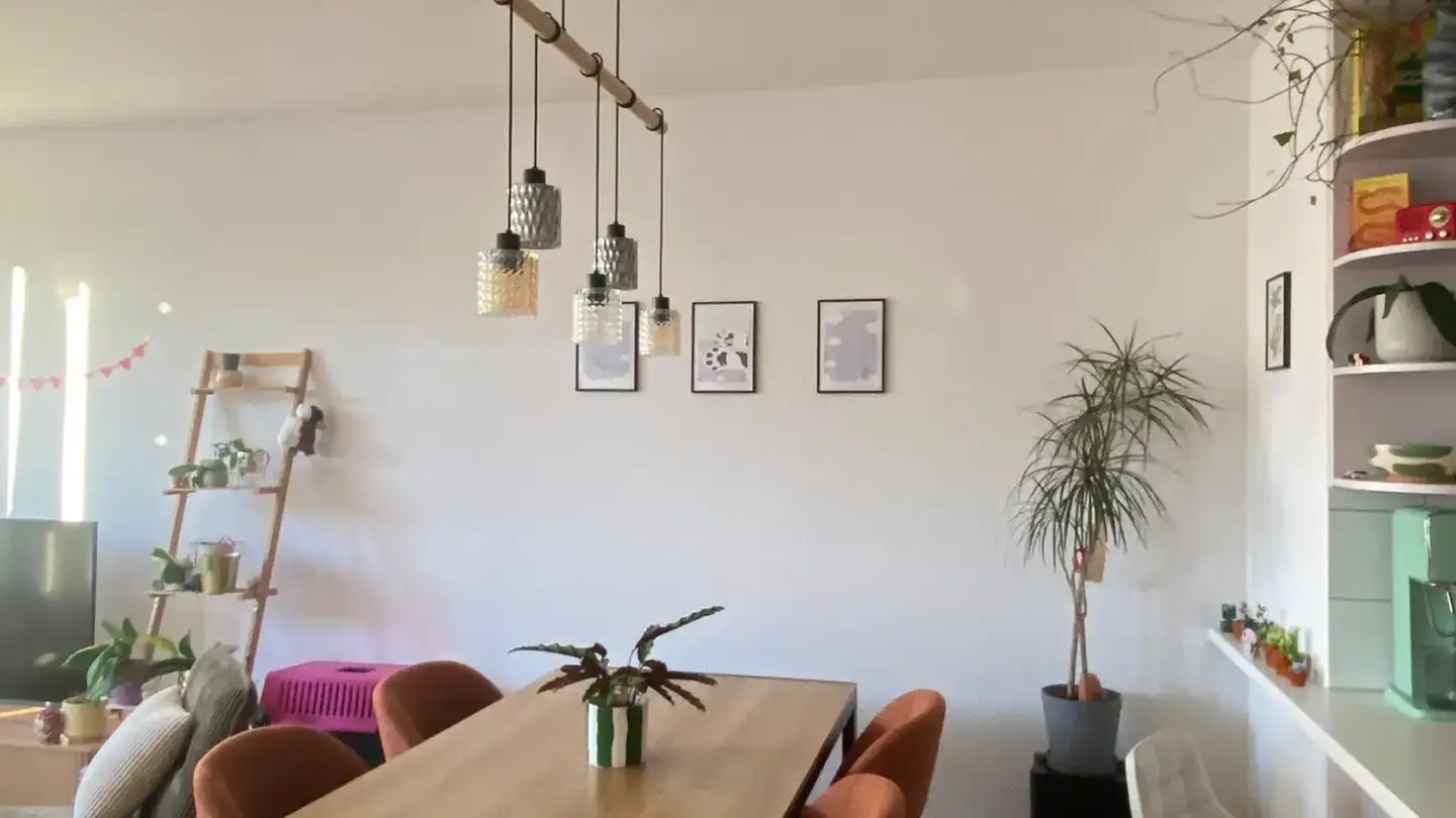 Appartement à louer - Rue Joseph-Piller 11, 1700 Fribourg - Photo 2