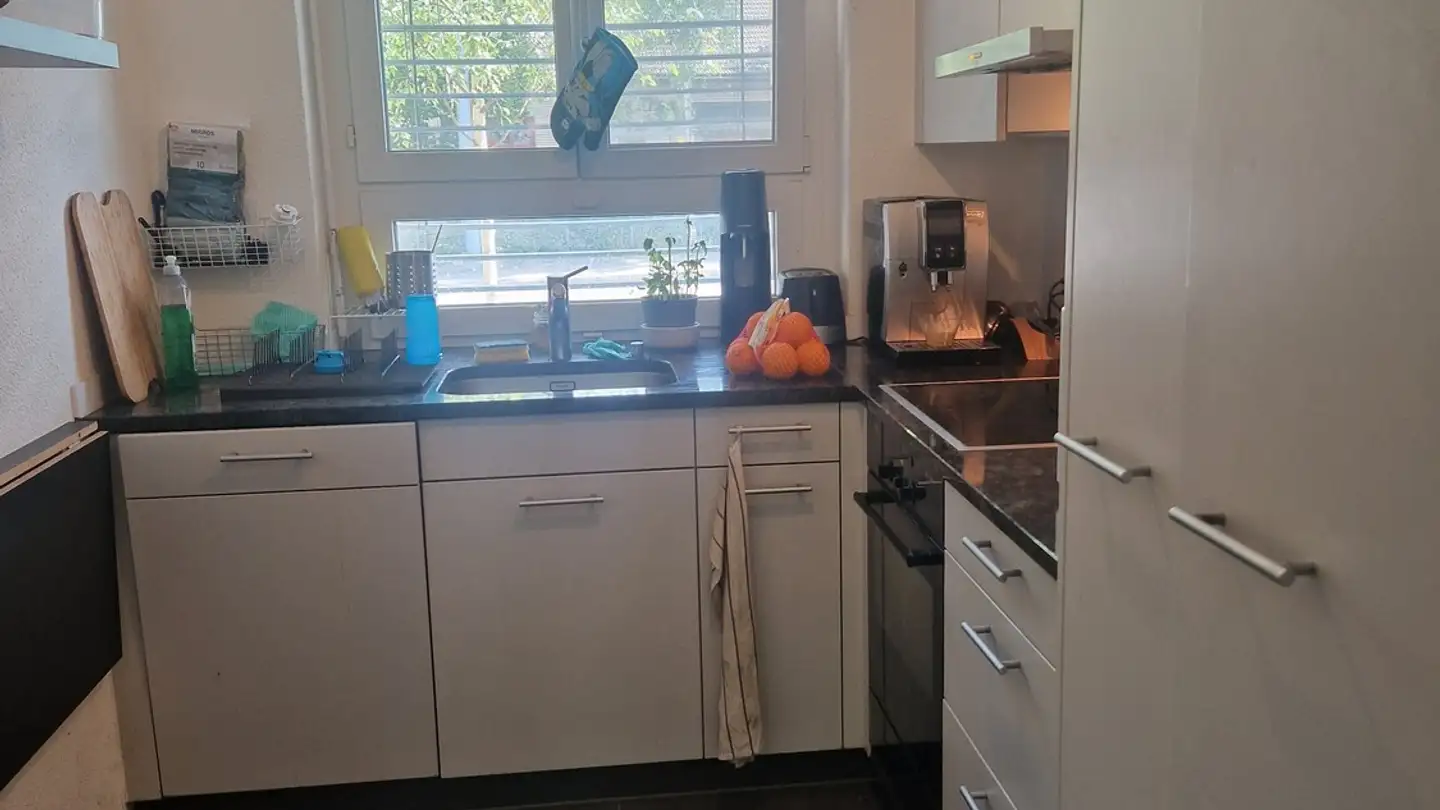 Zimmer mieten - Hofwiesenstrasse 217, 8057 Zürich - Foto 2