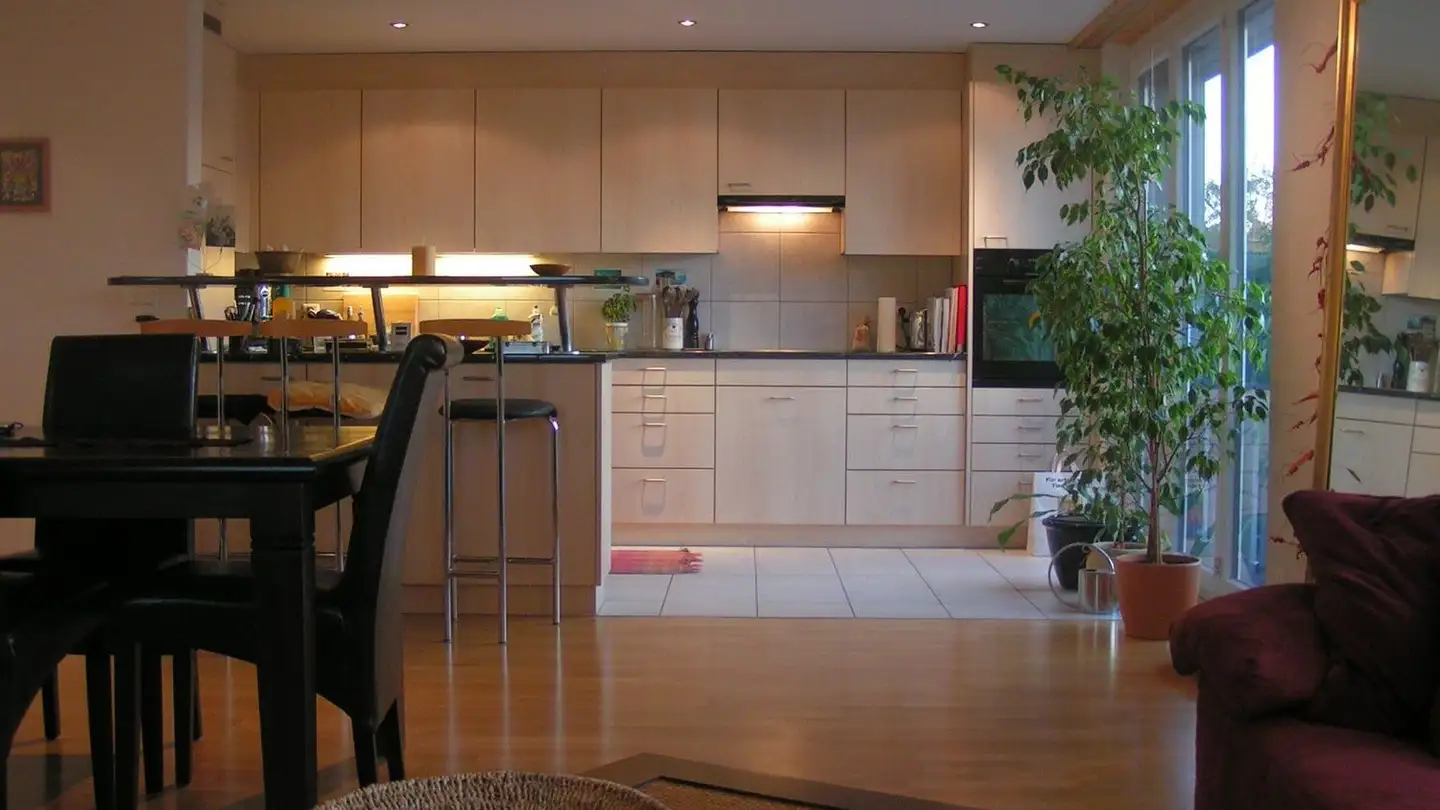 Appartamento in affitto - Greifenseestrasse 11, 8603 Schwerzenbach - Photo 3