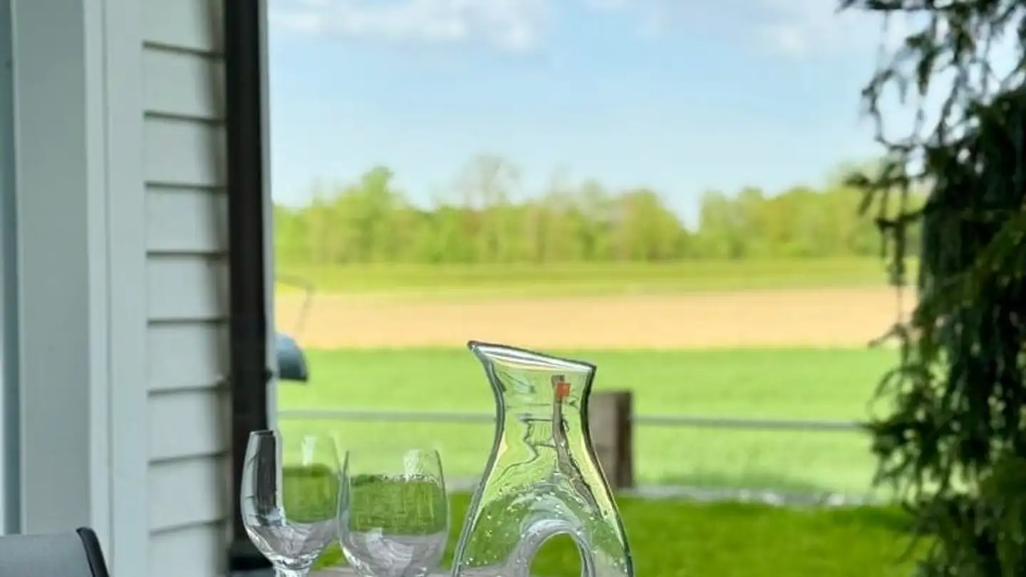 Maison individuelle à vendre - Hinterwiesen 3, 8553 Eschikofen - Photo 4