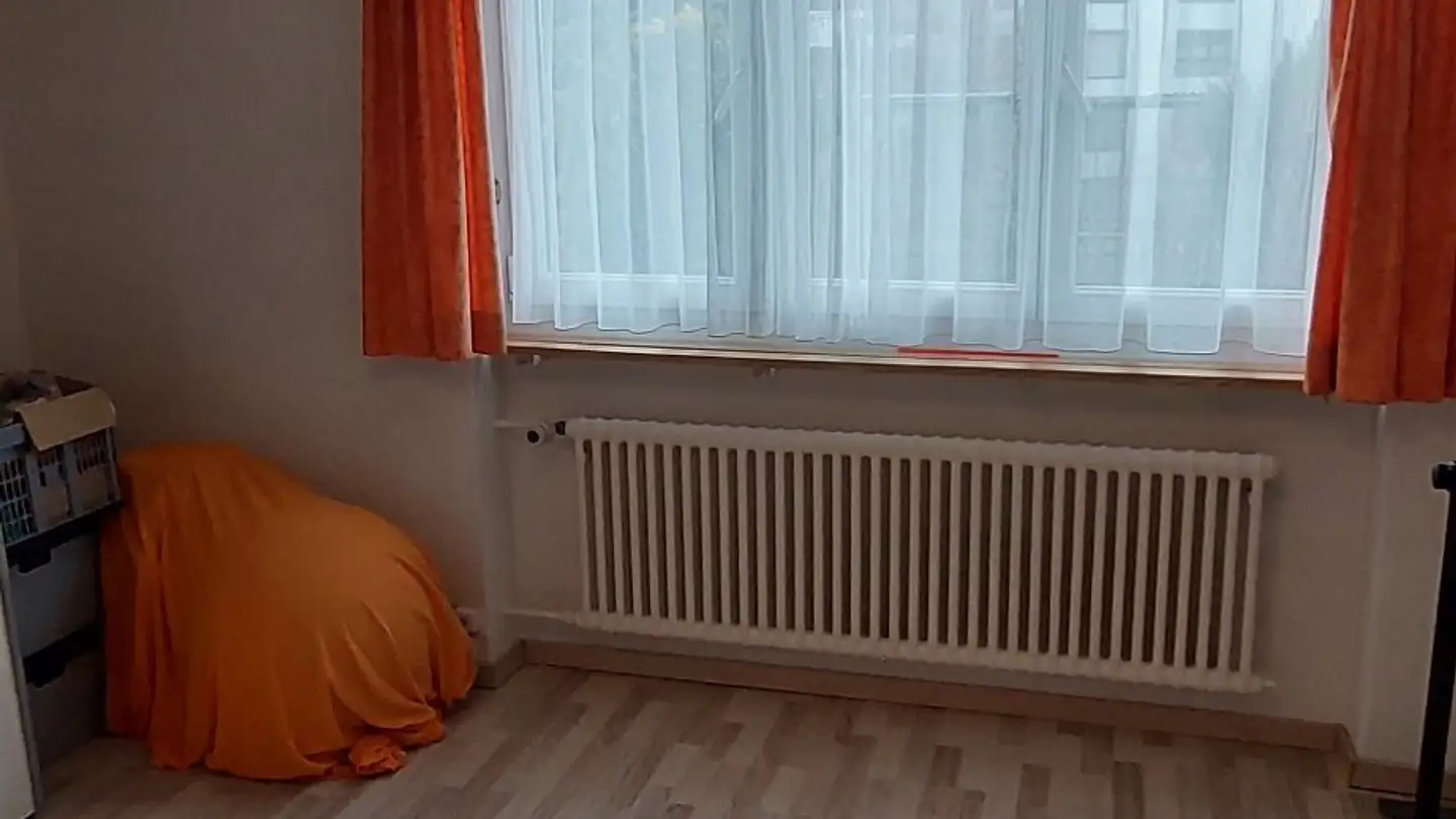 Appartamento in affitto - Kapplerstrasse 88, 9642 Ebnat-Kappel - Photo 3