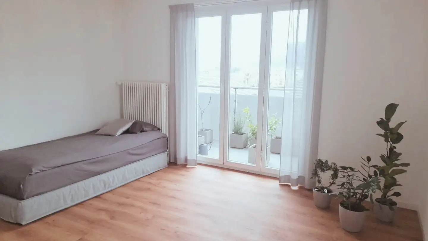 Stanza singola in affitto - 4632 Trimbach - Photo 2