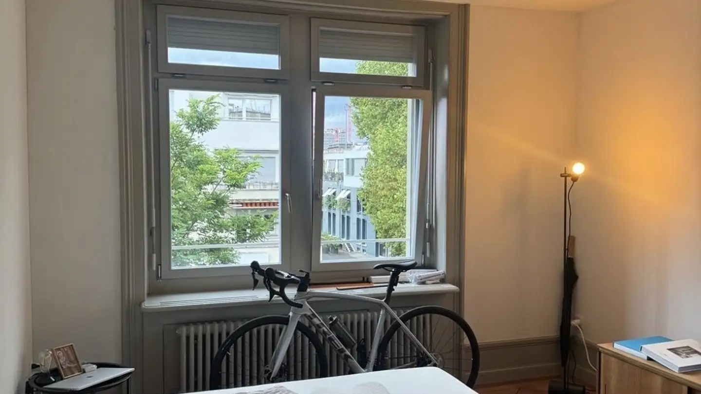 Chambre à louer - Letzigraben 101, 8003 Zürich - Photo 4