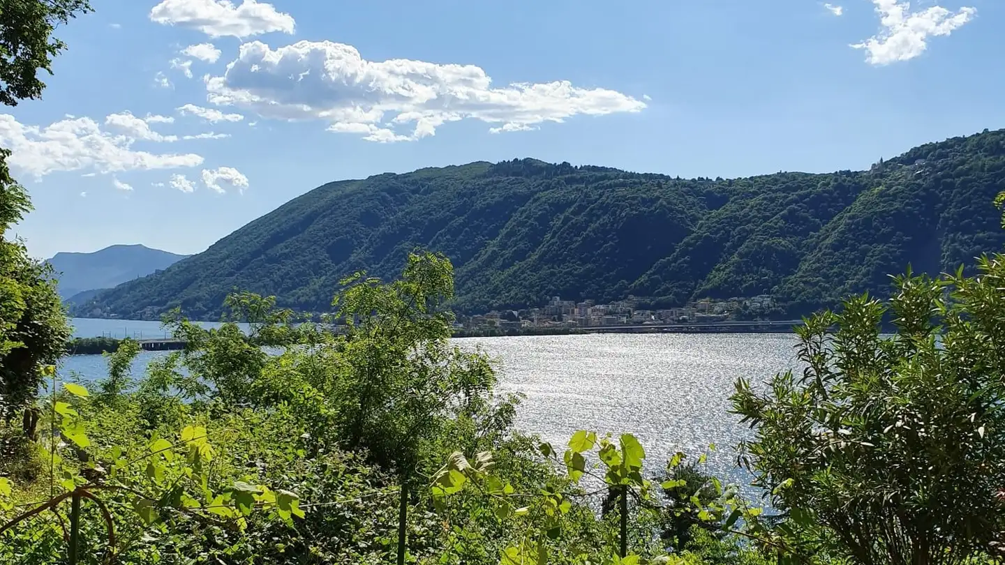 Appartamento in affitto - 6816 Bissone - Foto 3