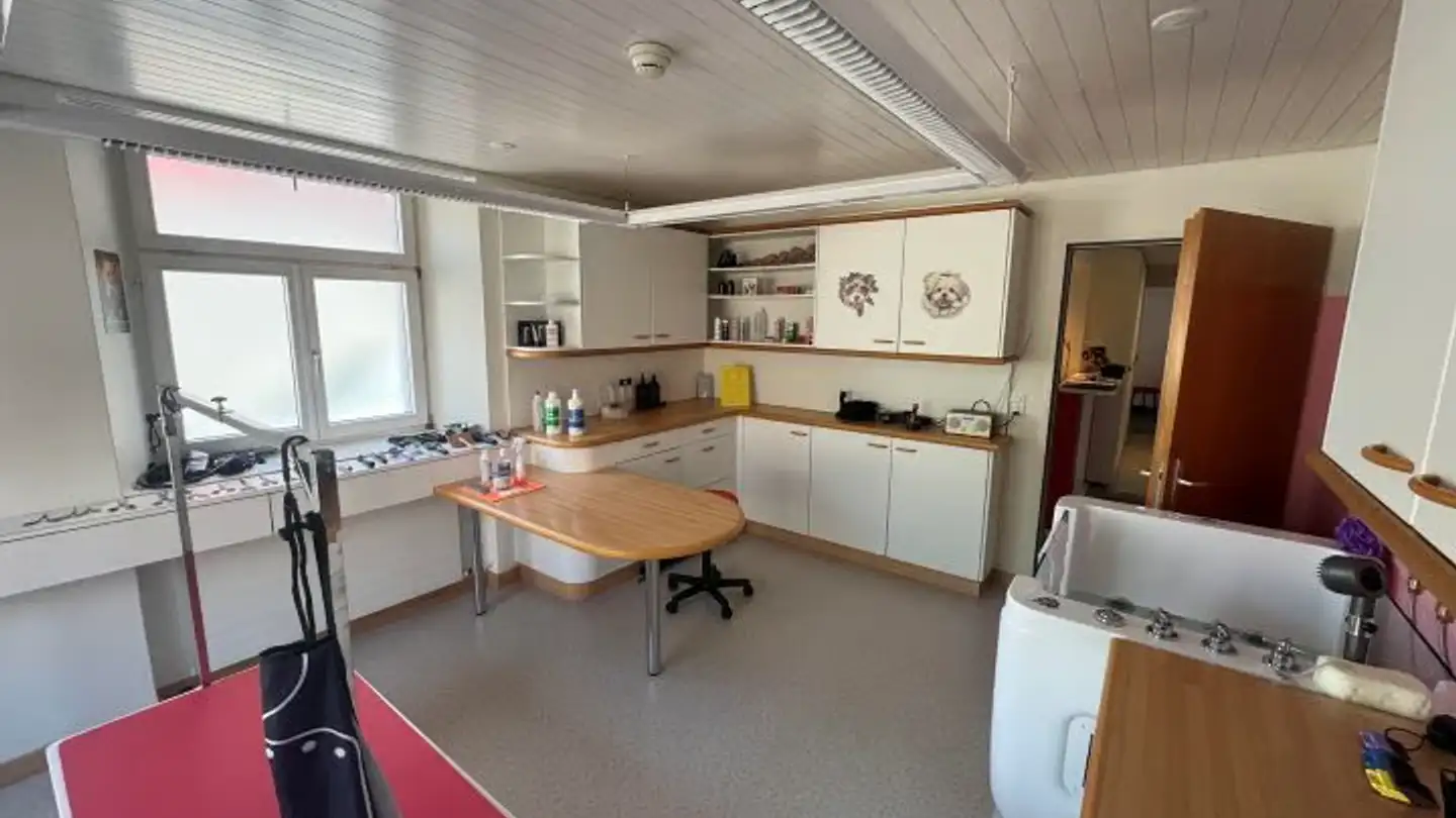 Studio medico in affitto - Seestrasse 80, 8267 Berlingen - Foto 2