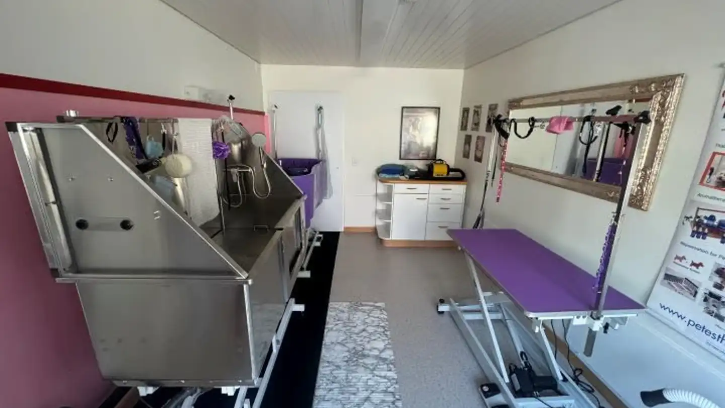 Studio medico in affitto - Seestrasse 80, 8267 Berlingen - Foto 4