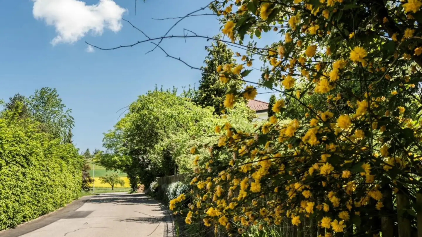 Single house for sale - Alte Bettwilerstrasse, 5615 Fahrwangen