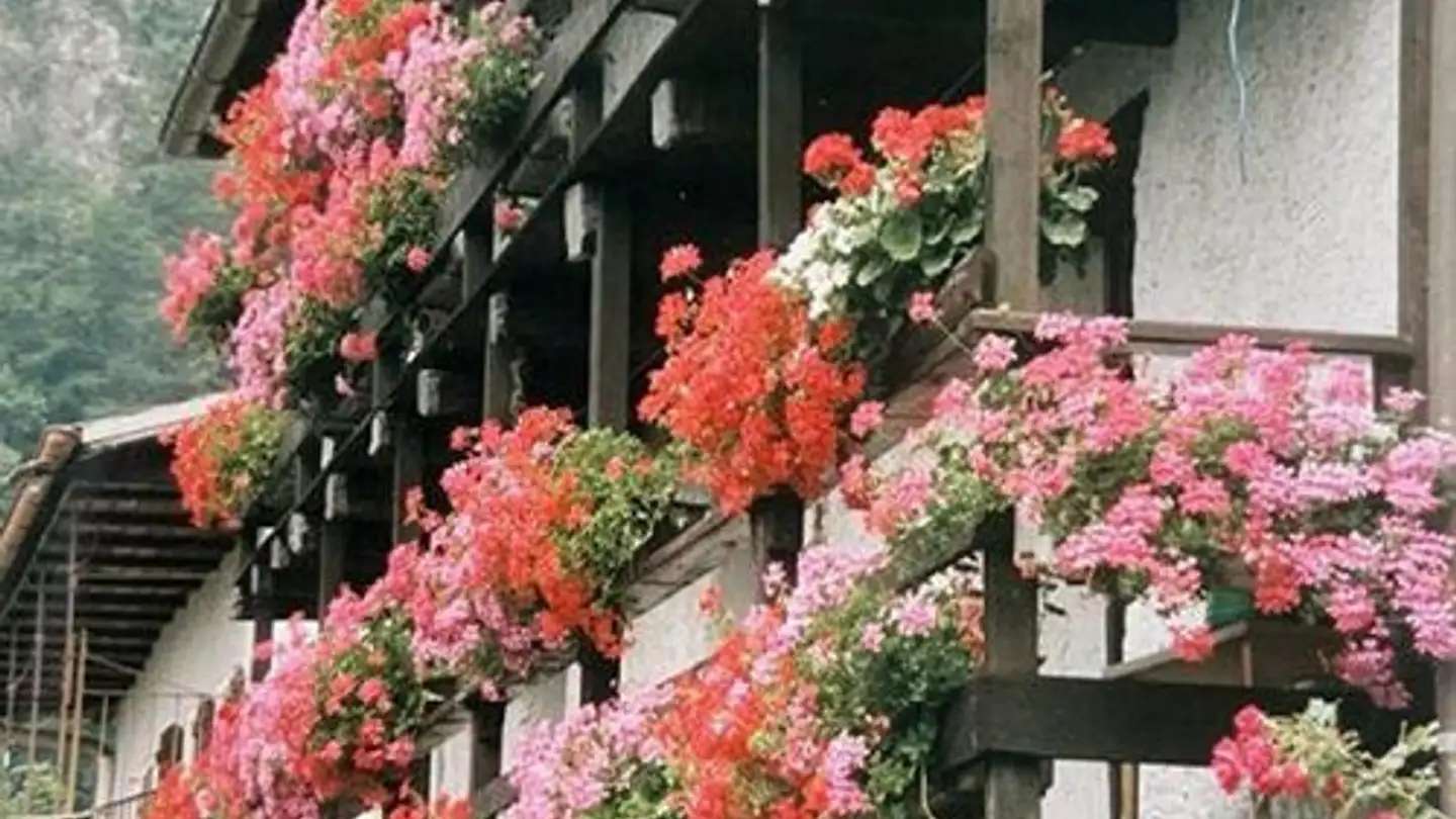 Appartamento in vendita - 6663 Comologno