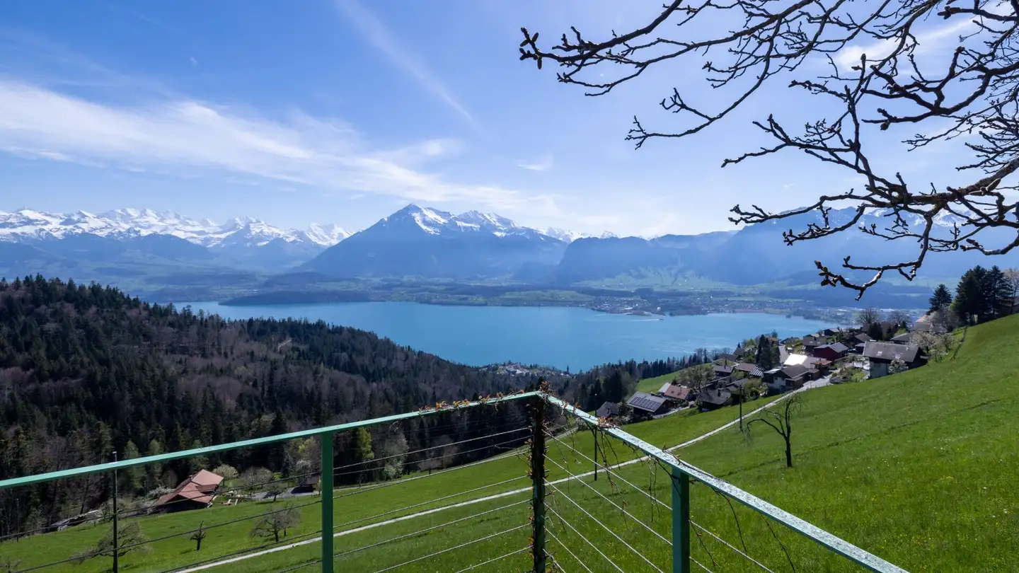 Edificio residenziale in vendita - 3625 Heiligenschwendi - Photo 2