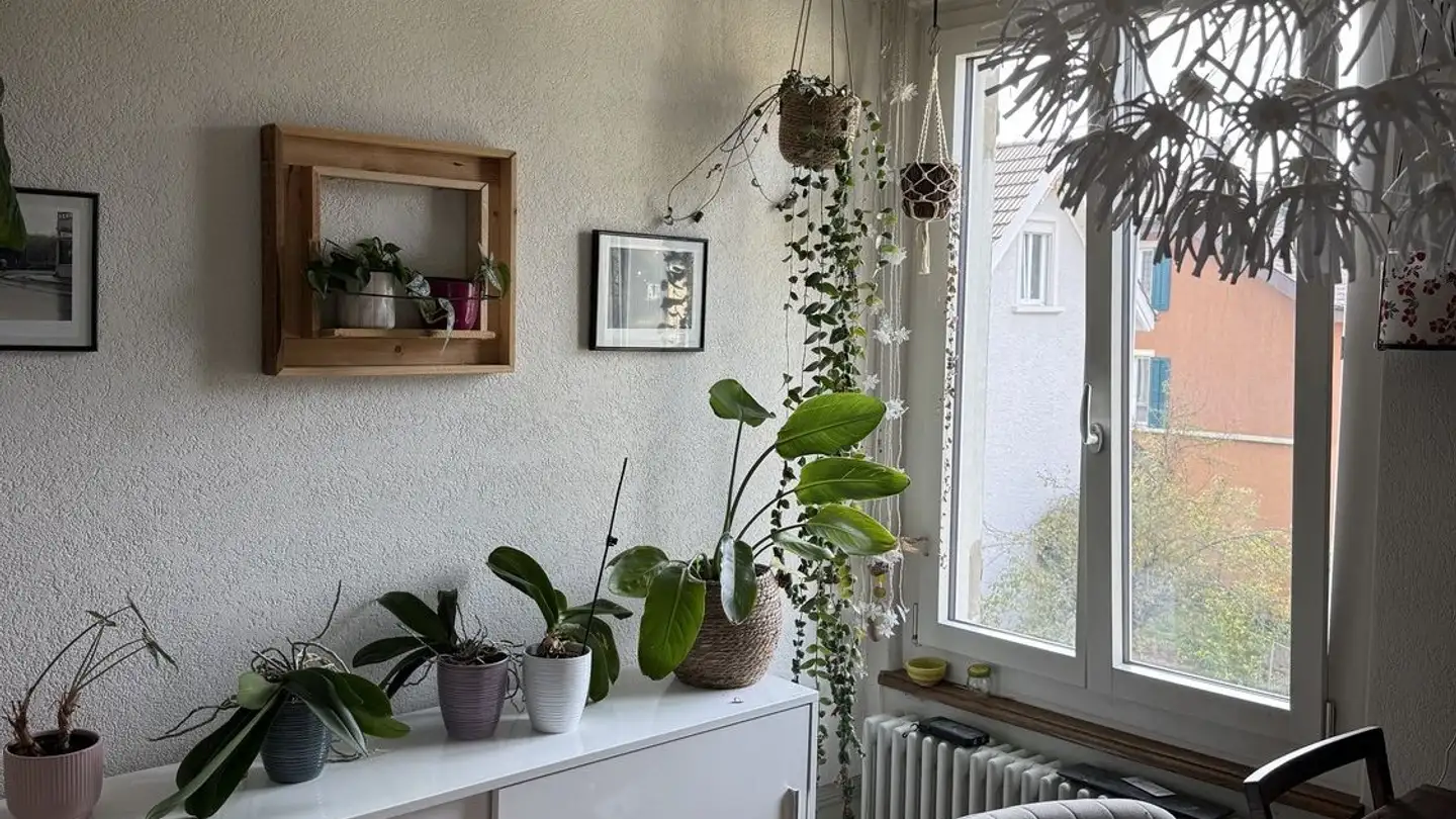 Wohnung mieten - Jakobstrasse 7, 5430 Wettingen - Foto 4