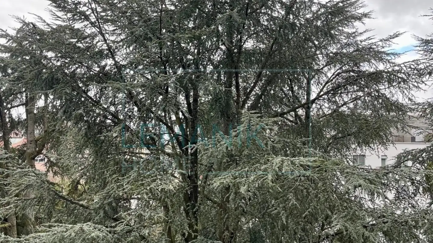 Appartement à vendre - 1203 Genève