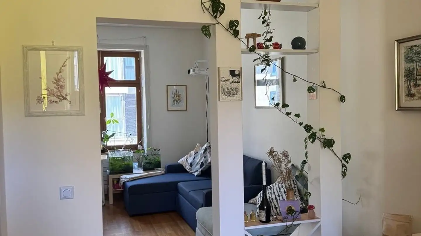 Wohnung mieten - Belchenstrasse, 4054 Basel