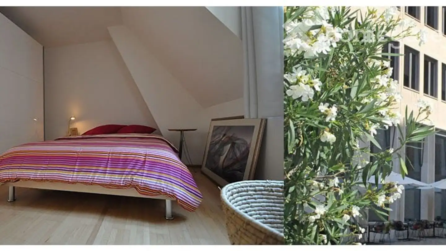 Appartamento in affitto - Barfüsserplatz, 4051 Basel - Photo 3