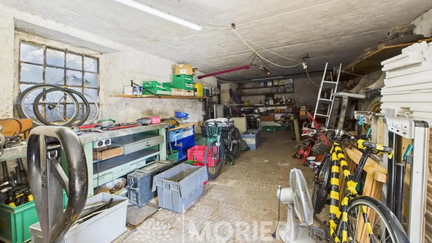 Single house for sale - 1148 Moiry VD - Photo 4