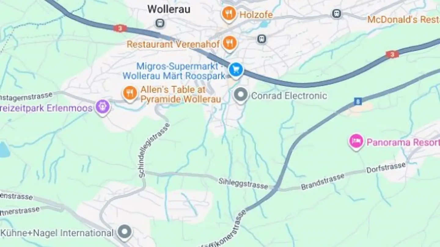 Appartement à vendre - 8832 Wollerau