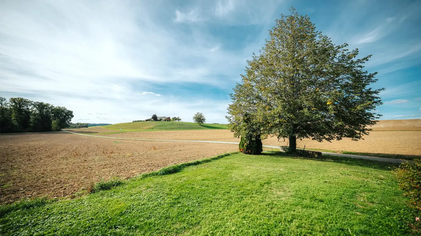 Fattoria in vendita - Bethelhausen 7, 8546 Islikon - Foto 2