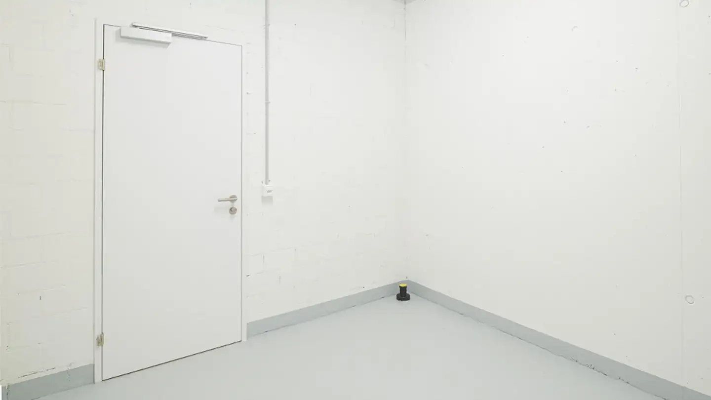 Werkstatt mieten - Grafenbuckstrasse 12, 8200 Schaffhausen - Foto 2