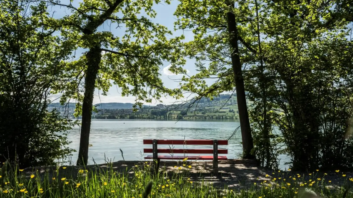 Single house for sale - Alte Bettwilerstrasse, 5615 Fahrwangen - Photo 3