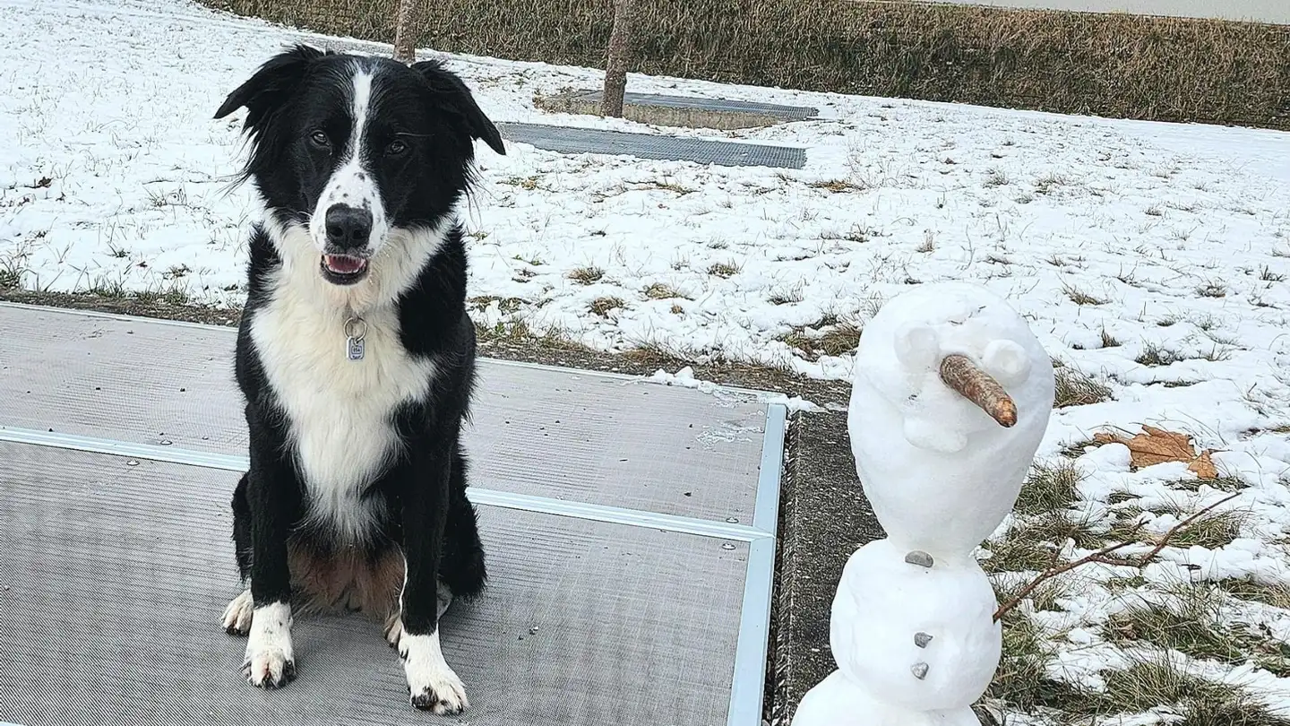 Zimmer mieten - Kappelenring 3c, 3032 Hinterkappelen - Foto 3