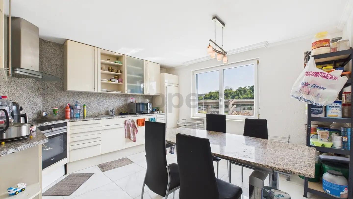 Casa grotta in vendita - 8200 Schaffhausen - Photo 4