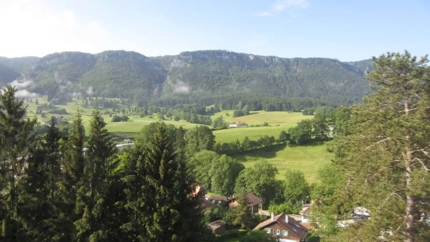 Apartment for rent - Chemin Des Bosquets 10, 2740 Moutier - Photo 4
