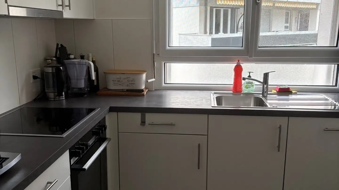 Casa singola in affitto - Chemin Emile-Javelle 26, 1800 Vevey - Photo 2