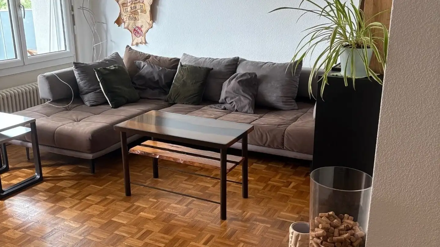 Casa singola in affitto - Chemin Emile-Javelle 26, 1800 Vevey