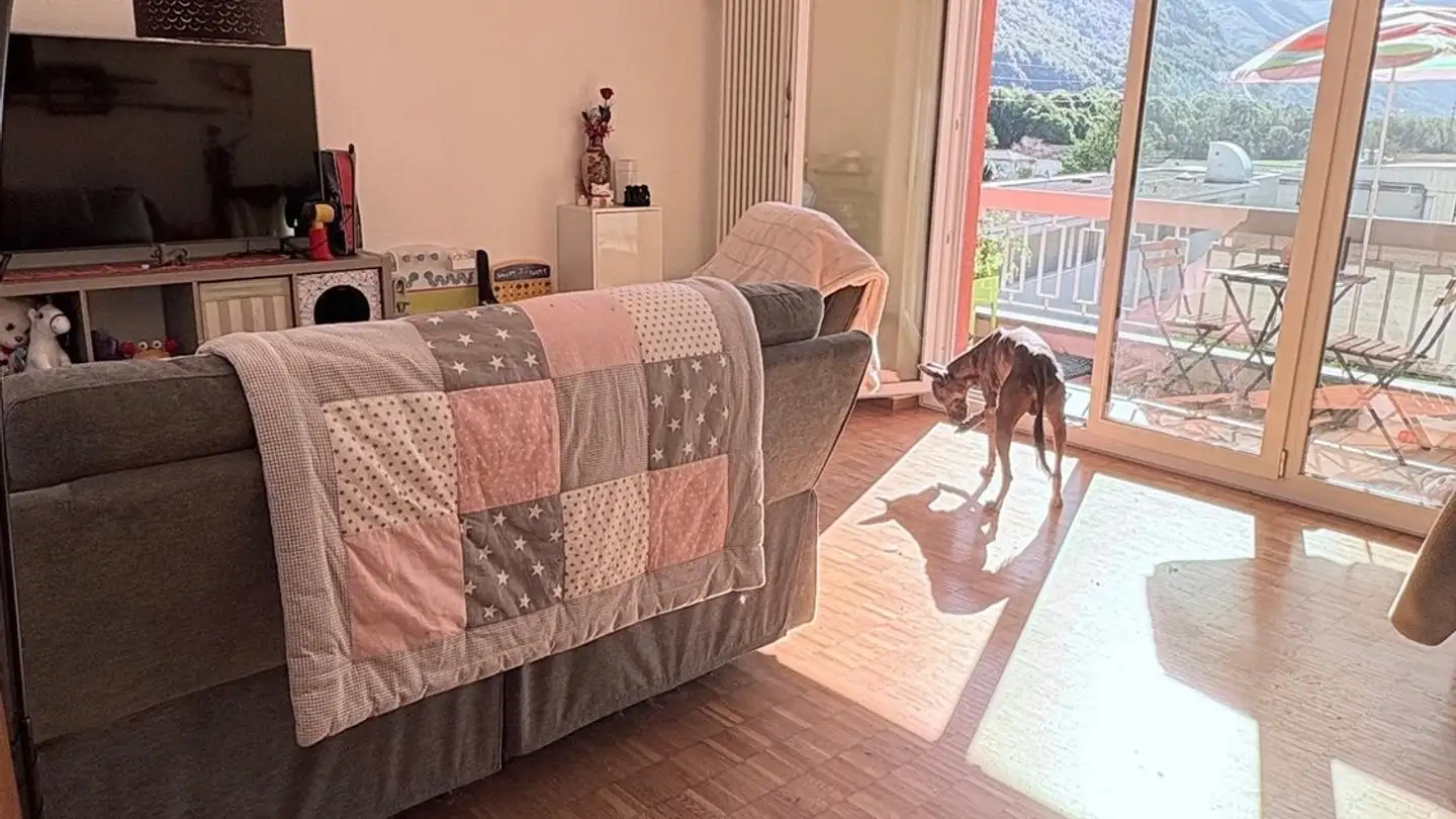 Appartamento in affitto - 6527 Lodrino - Photo 2