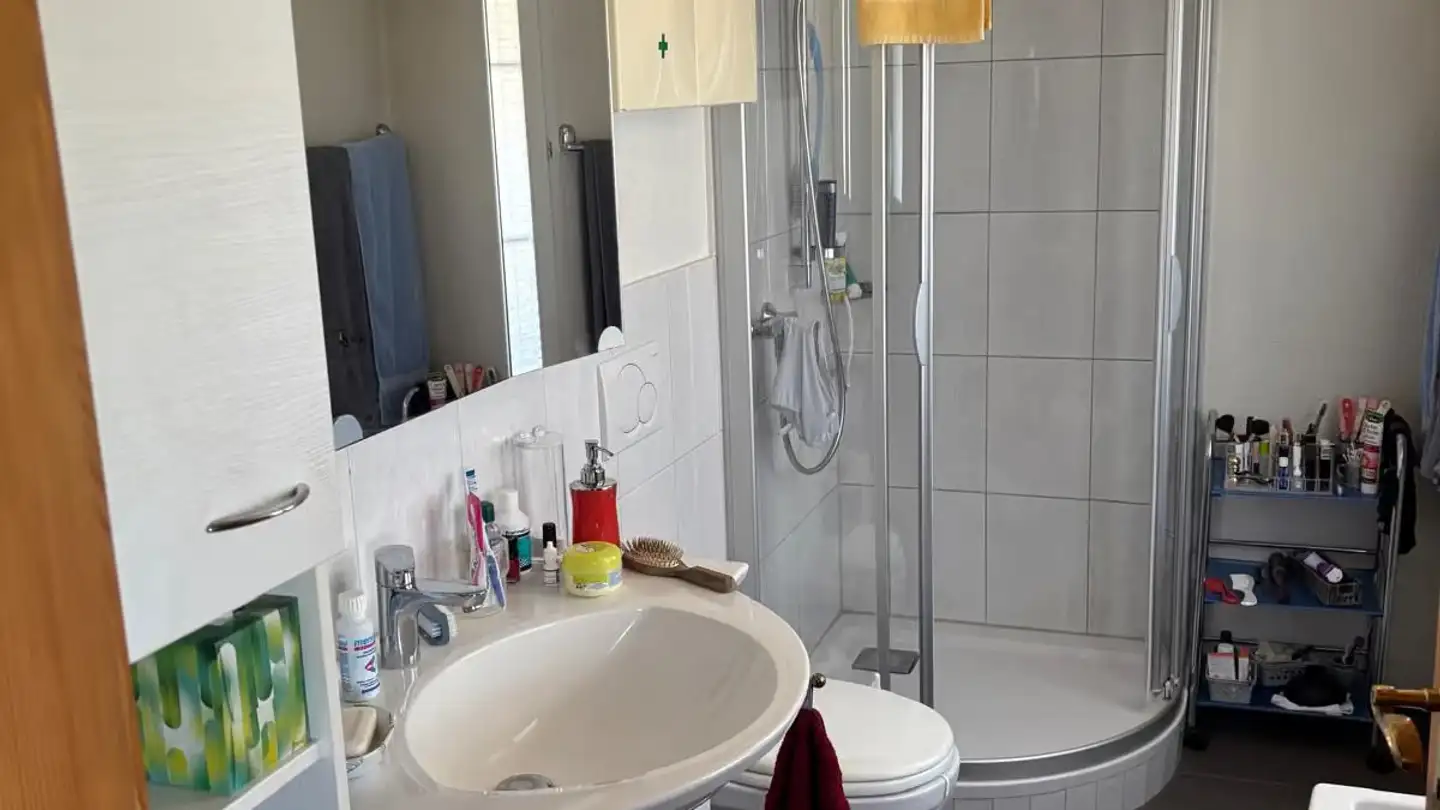 Wohnung mieten - Alleeweg 22, 4932 Lotzwil - Foto 4