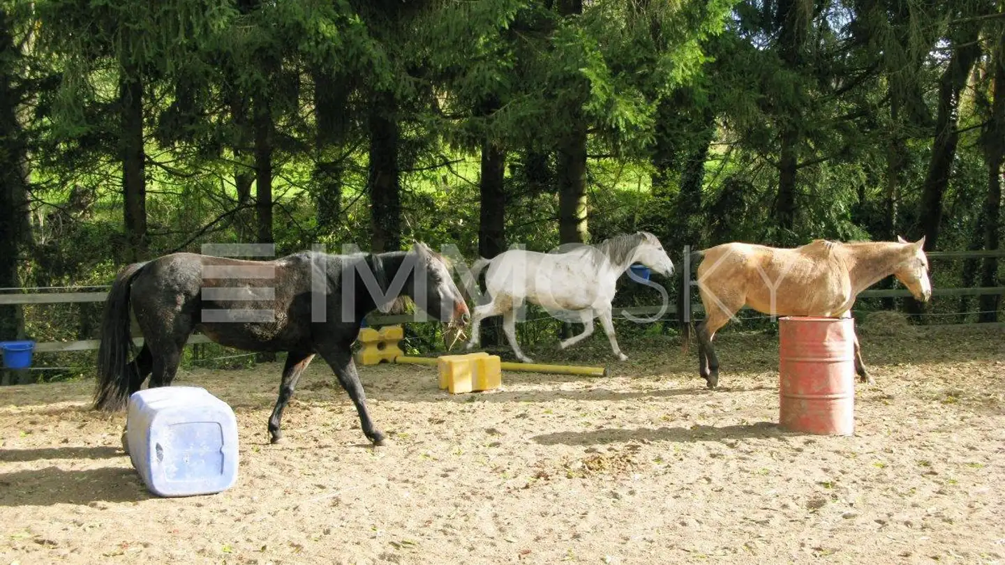 Maison individuelle à vendre - 1521 Curtilles - Photo 2