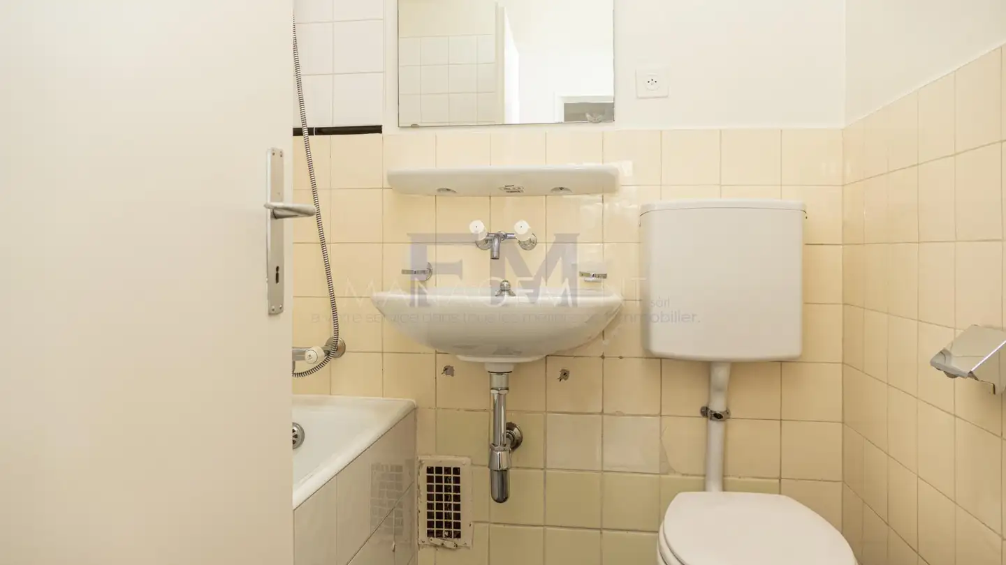 Wohnung mieten - Rue Peillonnex, 1225 Chêne-Bourg - Foto 4