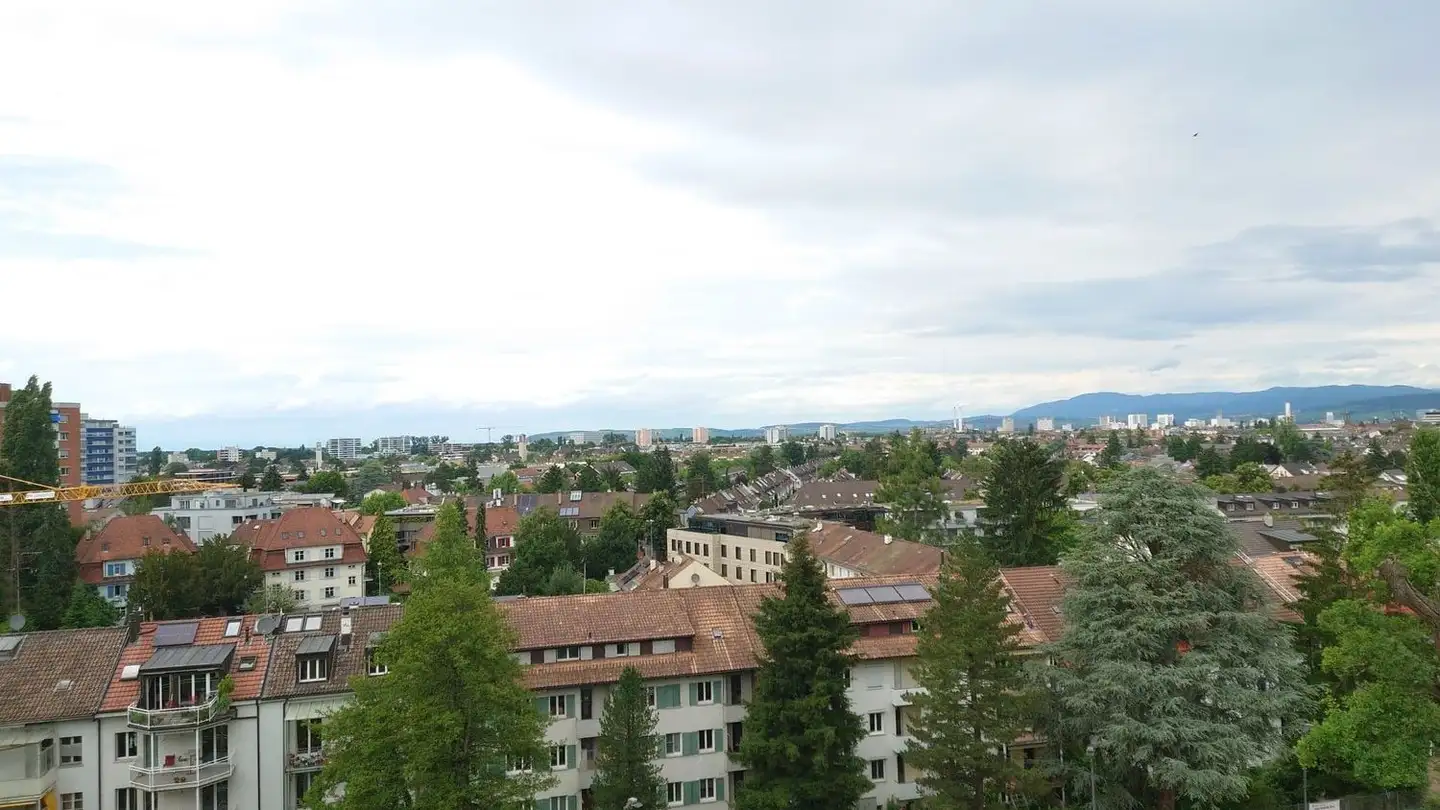 Penthouse for rent - Bachmattenstrasse 30, 4102 Binningen