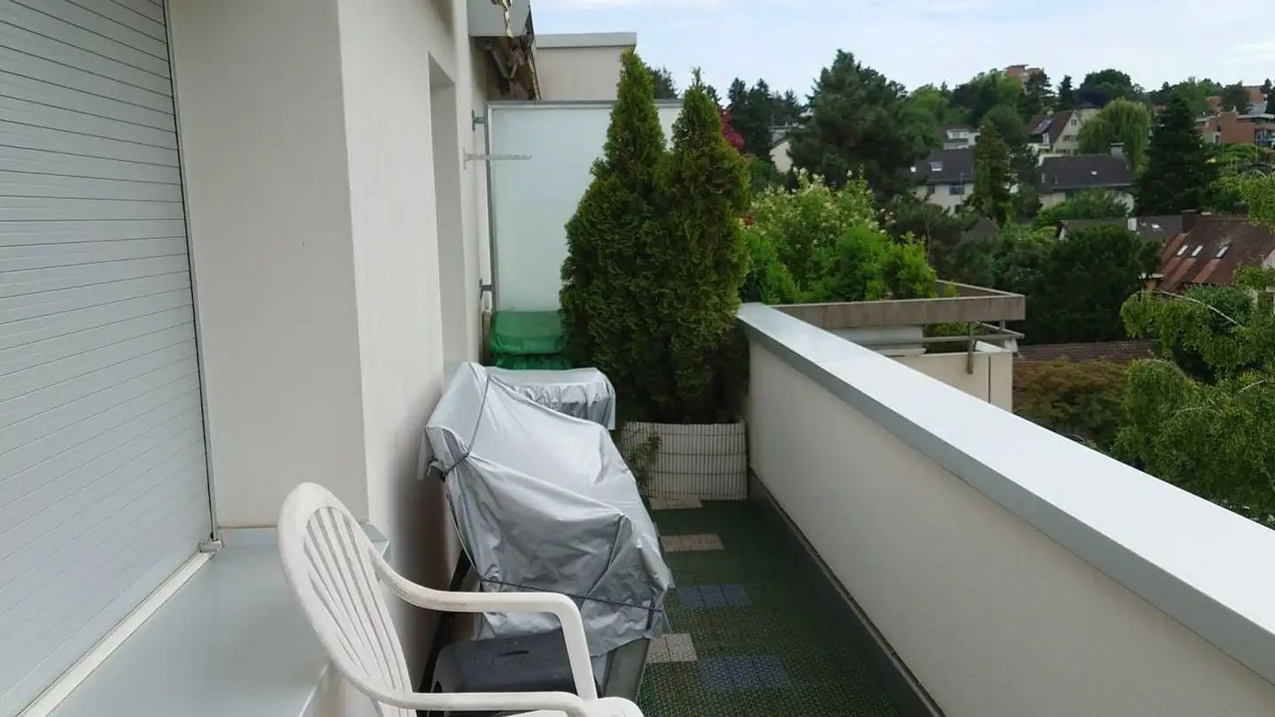Penthouse for rent - Bachmattenstrasse 30, 4102 Binningen - Photo 2