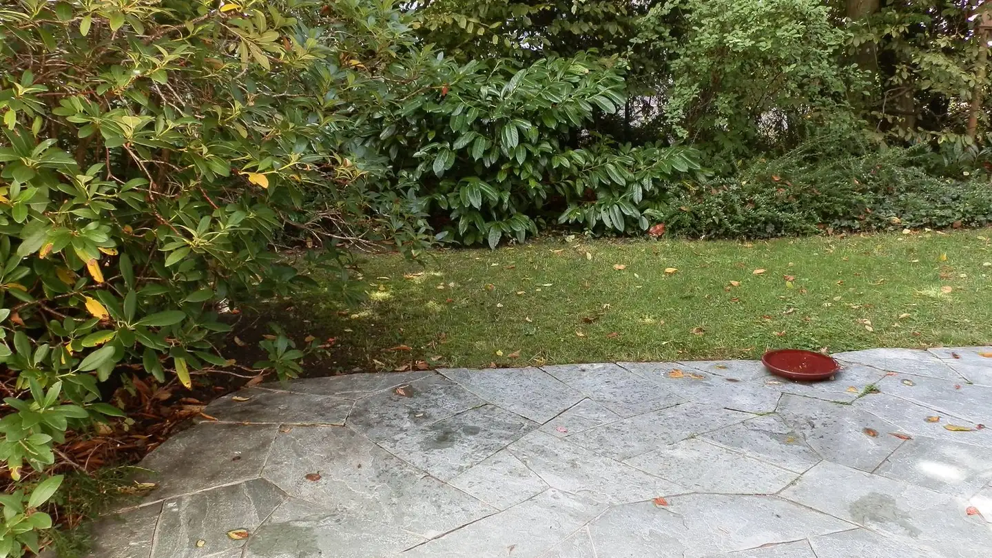 Apartment for rent - Althoosstrasse 5, 8046 Zürich - Photo 4