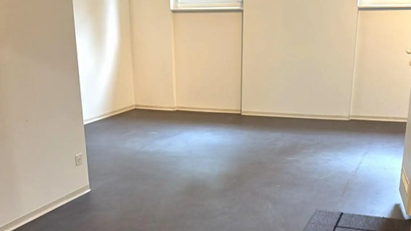 Workshop for rent - Rosenberghalde 12, 6004 Luzern - Photo 4