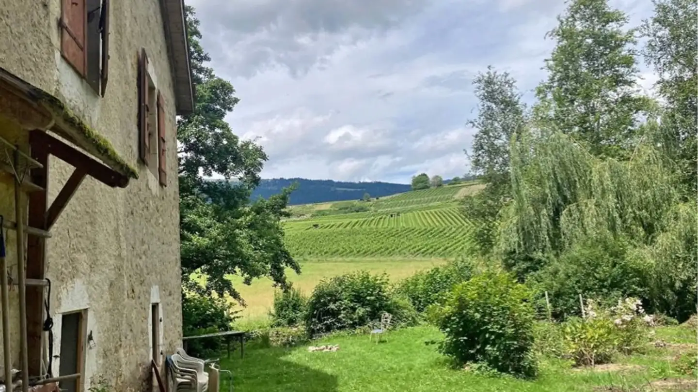 Wohnung mieten - 1400 Cheseaux-Noréaz