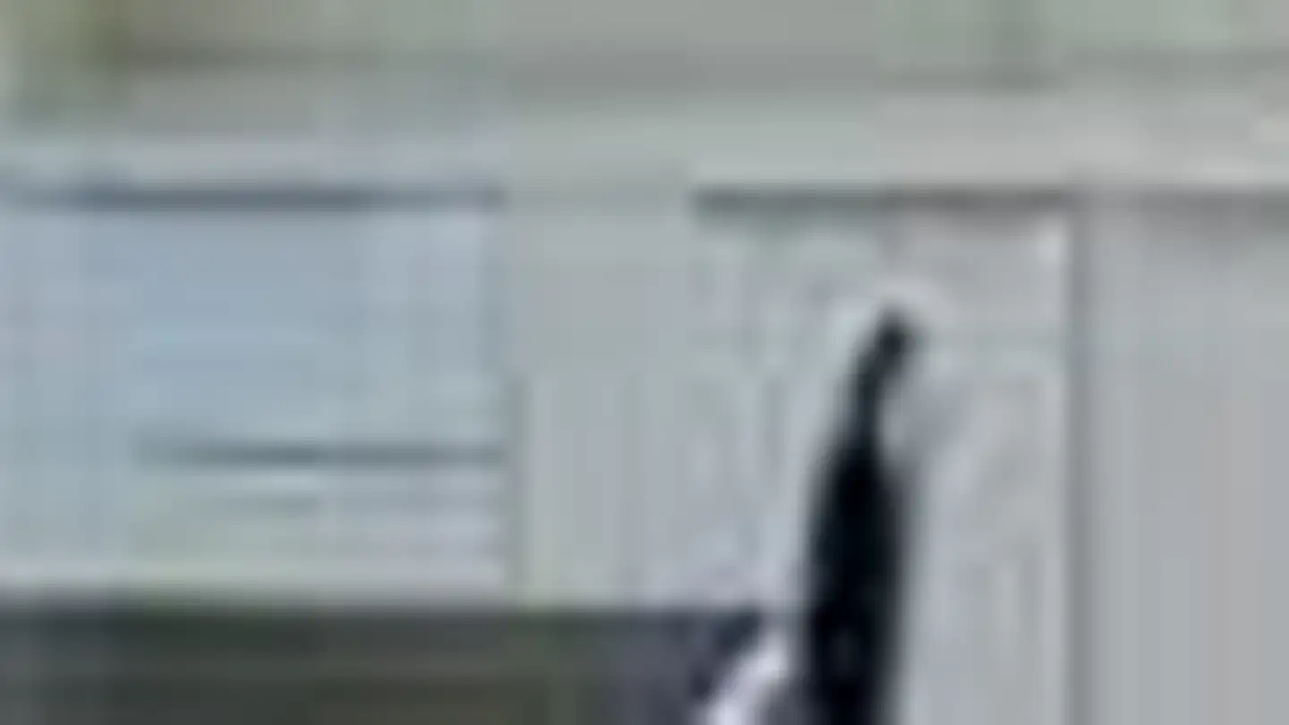 Attico in affitto - Weinfelderstrasse 98, 9543 St. Margarethen TG - Photo 2