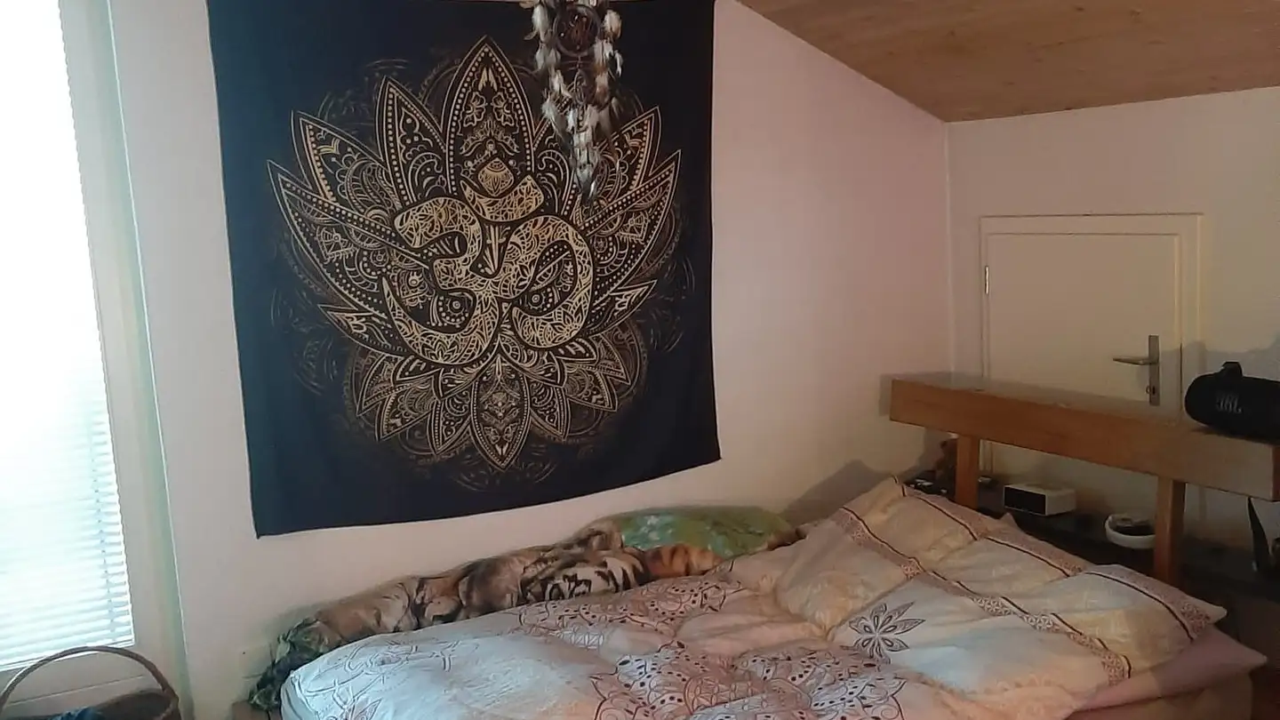 Apartment for rent - Hofstettenstrasse 72, 3600 Thun - Photo 4