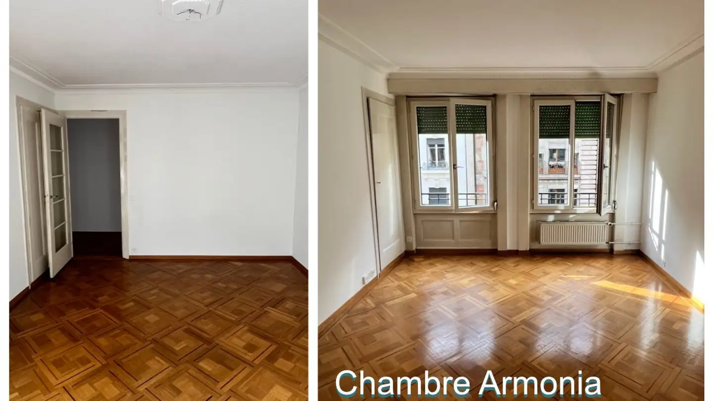 Chambre à louer - Rue Emile- Yung 5, 1205 Genève